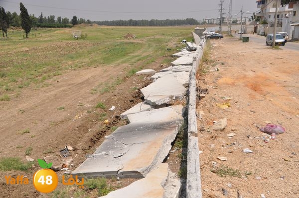 wallludshaneer509 (7).JPG